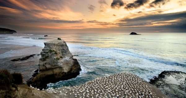 Muriwai Beach, weekend getaways from Auckland