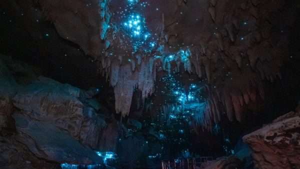Waipu, day trips from Auckland
