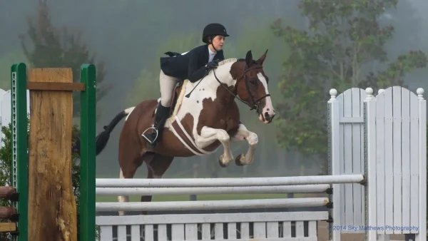 Aiken – Equestrian Paradise and Winter Colony, charming towns to visit in South Carolina