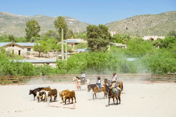Tanque Verde Ranch Experiences, best date ideas Tucson