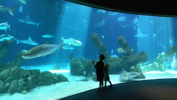 Visit the ABQ BioPark, date night ideas in ABQ