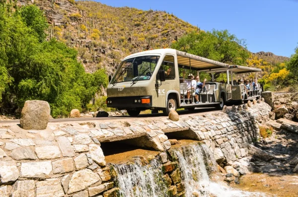 Sabino Canyon Recreation Area, date night ideas Tucson