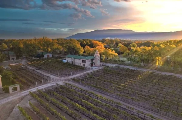 Wine Tasting at Casa Rondeña Winery, ABQ date ideas