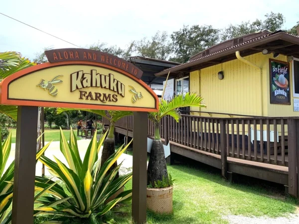 Farm Tour and Tasting at Kahuku Farms, date night ideas in Oahu