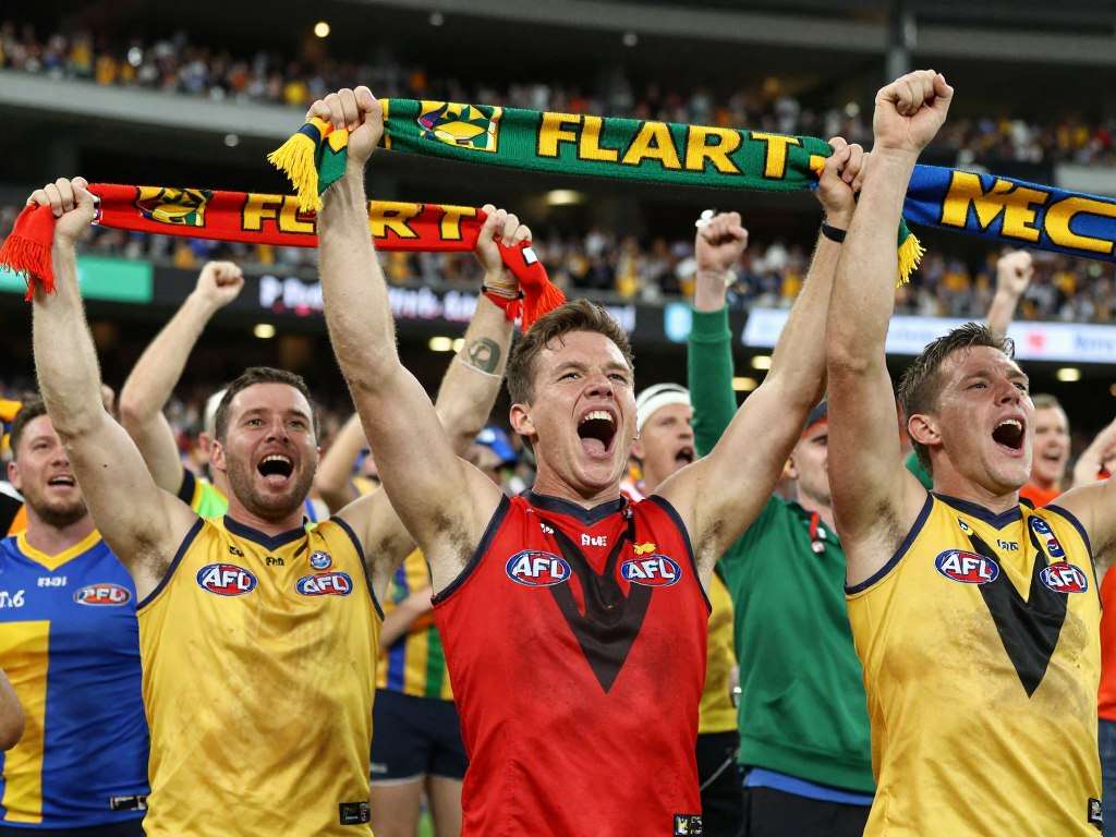AFL fans celebrating at the MCG
