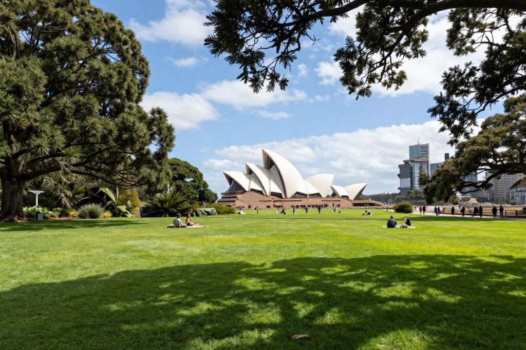 Sydney Royal Botanic Gardens lush greenery Sydney Royal Botanic Gardens lush greenery