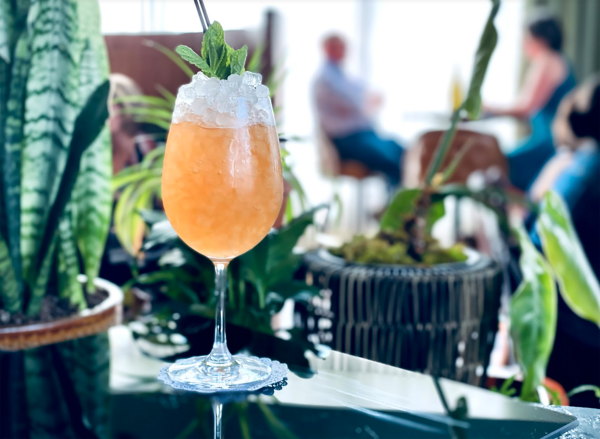 Craft Cocktails at Water Bear Bar, Boise dating ideas