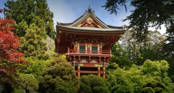 Japanese Tea Garden Stroll in Golden Gate Park, dating ideas in SF