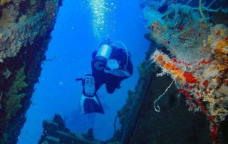 Key Things to Know Before Planning a Duane Wreck Dive in the Florida Keys
