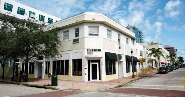 Stubborn Seed, best takeout in Miami