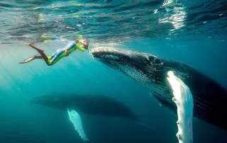 17 Best Things to Do in Tonga in 2026 (Tested by Travelers)