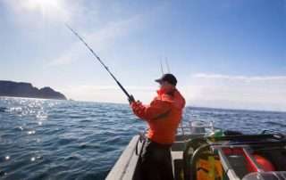 Best Fishing Seasons for Popular Florida Keys Species