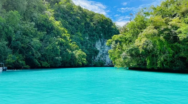 Experience the Milky Way Lagoon's Natural Spa, things to do in Palau