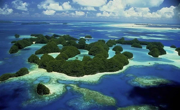 Explore Marine Conservation Projects, things to do in Palau