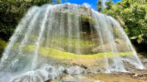 Hike to Ngardmau Waterfall, Palau attractions